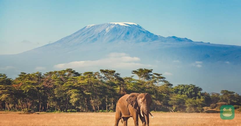 Elephants below Mount Kilimanjaro, Tanzania