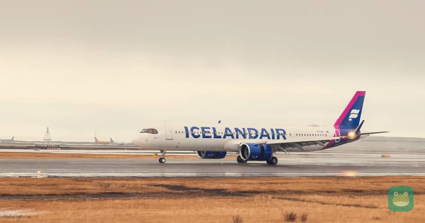 An Icelandair Airbus A321LR in a file photo. The July 2026 lease agreements cover A320neo aircraft.