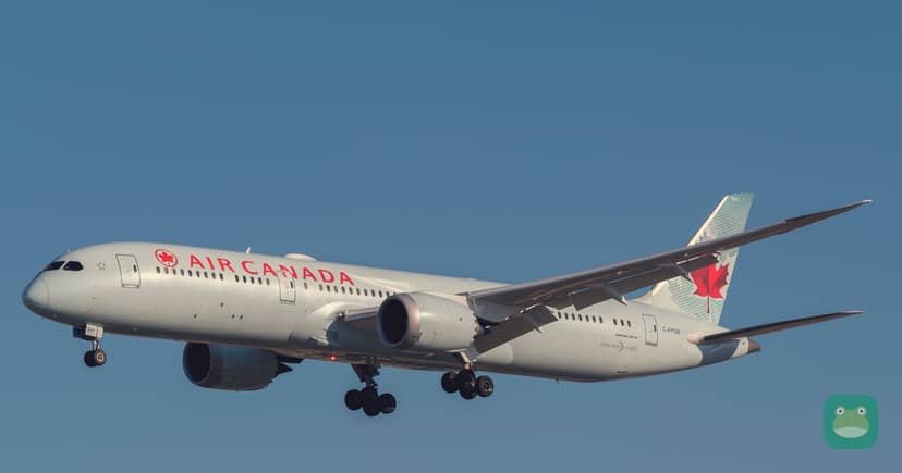 Air Canada Boeing 787-9 arriving at Toronto in 2019. Representative aircraft photo, cropped.