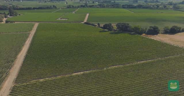 Delta One's new wine list: Silver Oak, Trefethen and Taittinger on domestic flights