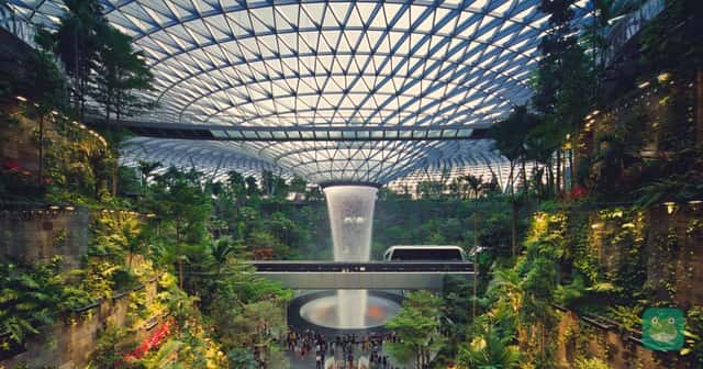 The HSBC Rain Vortex inside Jewel at Singapore Changi Airport