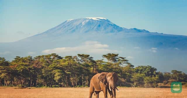 Elephant below Mount Kilimanjaro, Tanzania (British Airways press image)