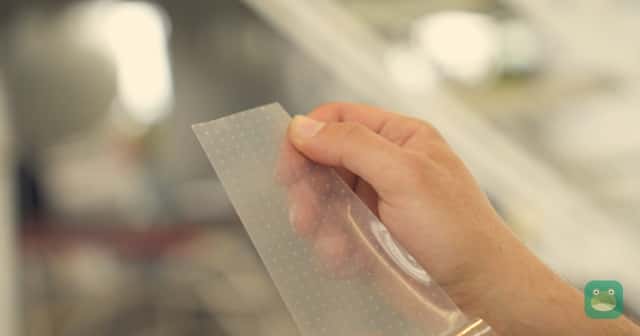 Lufthansa's "Shark Skin" Is Coming to the Airbus A330, Starting With a Discover Airlines Jet