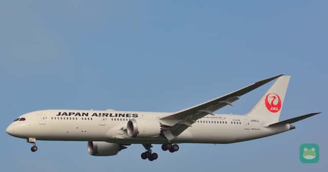 Japan Airlines Boeing 787-9
