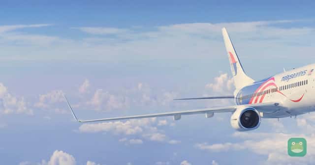 Malaysia Airlines Boeing 737-800