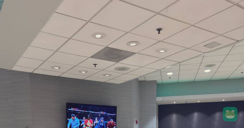 The Lounge, BOS Terminal C — bar