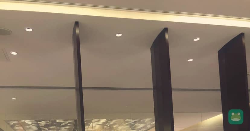 China Southern Airlines Sky Pearl Lounge (Domestic, First/Business), CAN