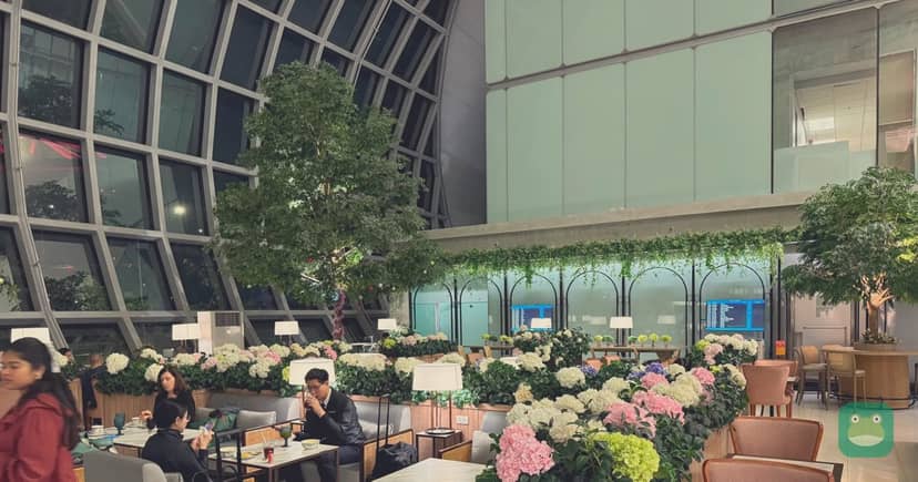 Coral Executive Lounge Domestic